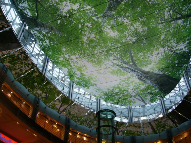 Globe Trotter : Le magasin pas comme les autres !